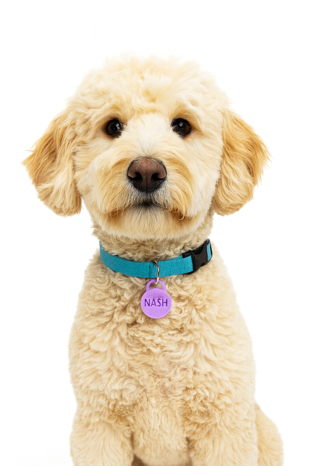 Customisable Pet Tags